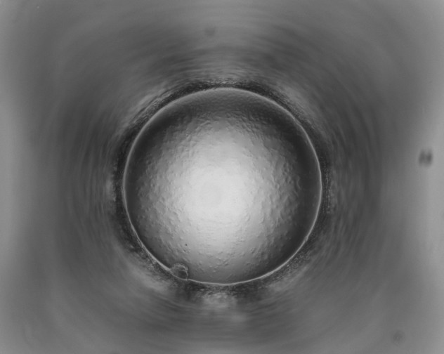 X0000090470258200707201400