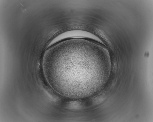 X0000090470259200707201400