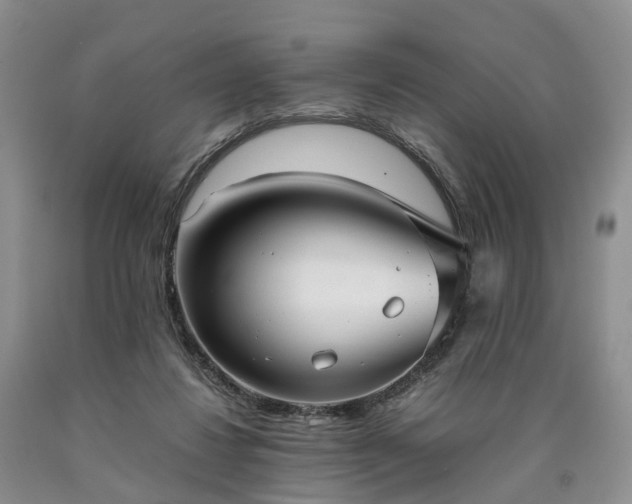 X0000090470260200707201400