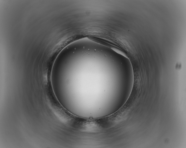 X0000090470262200707201400