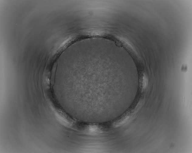 X0000090470264200707201401