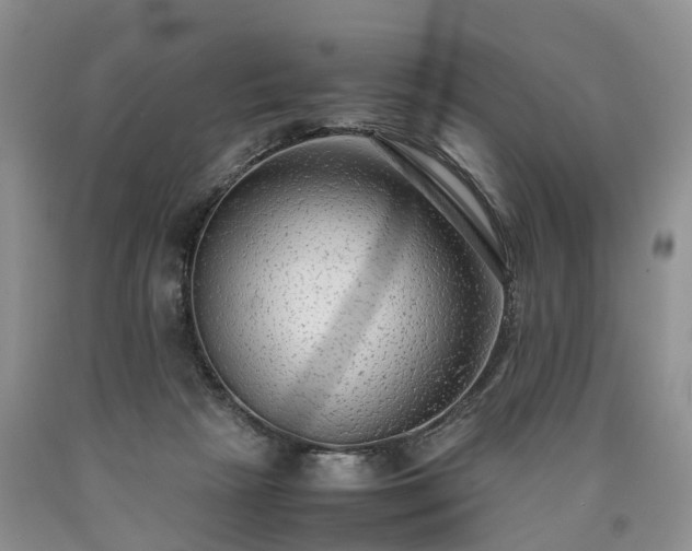 X0000090470265200707201401
