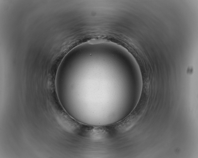 X0000090470270200707201401