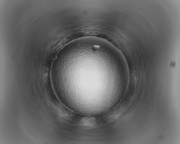 X0000090470271200707201401