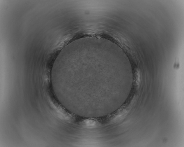 X0000090470272200707201401