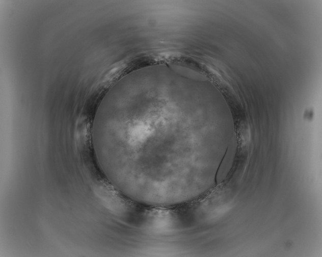 X0000090470276200707201401