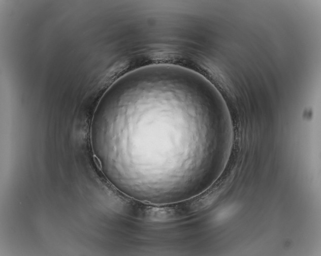 X0000090470277200707201401