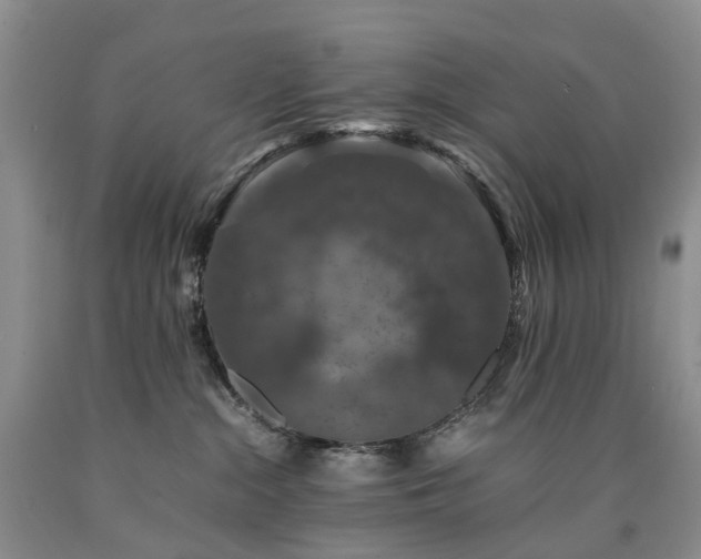 X0000090470284200707201401