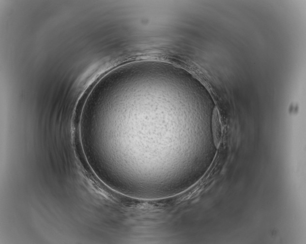 X0000090470290200707201400