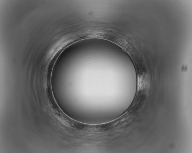 X0000090470291200707201400