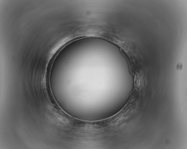 X0000090470292200707201400