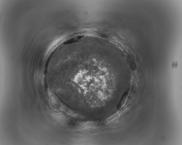 X0000090470293200707201400