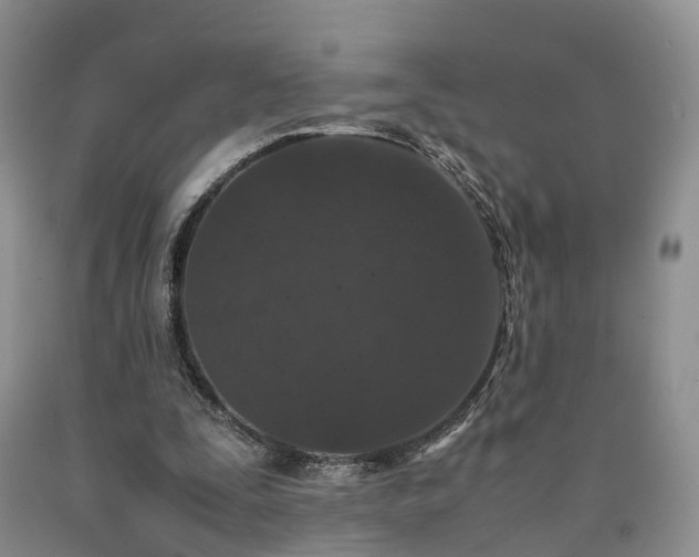 X0000090470295200707201400