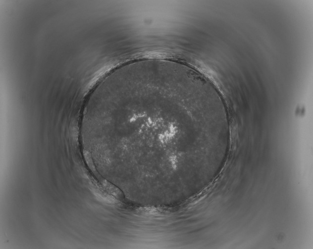 X0000090470297200707201400