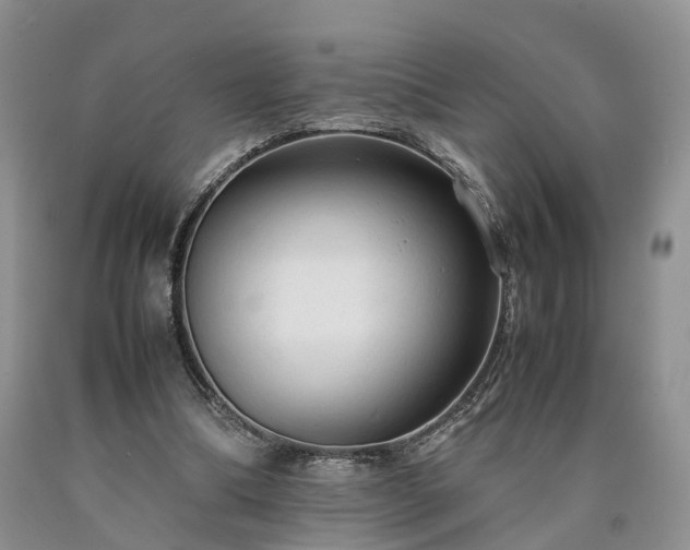 X0000090470298200707201400