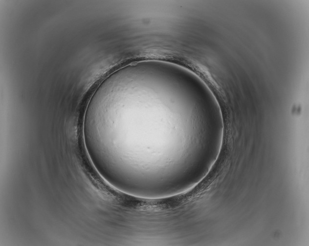 X0000090470299200707201400