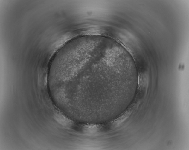 X0000090470301200707201400