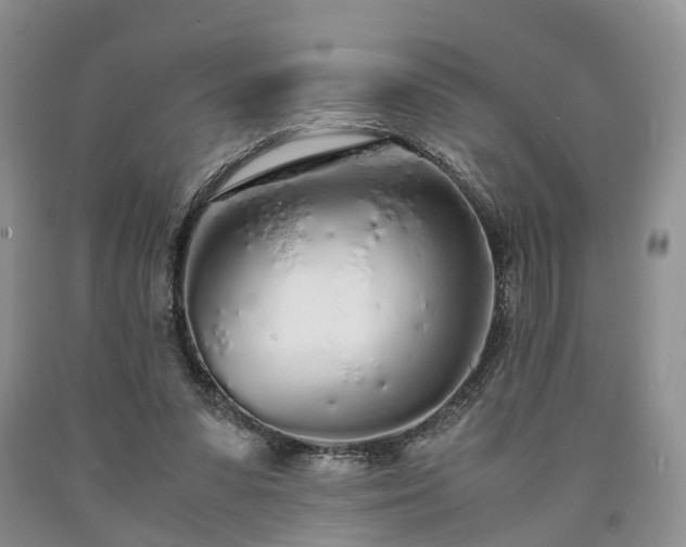 X0000090470303200707201400