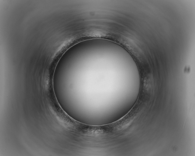 X0000090470304200707201400