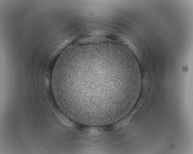 X0000090470305200707201400