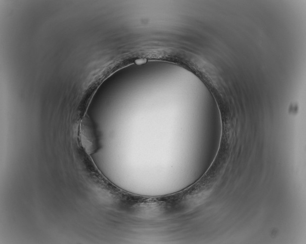 X0000090470307200707201400