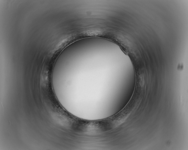 X0000090470308200707201400