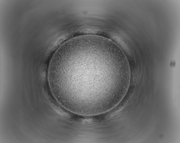 X0000090470309200707201400