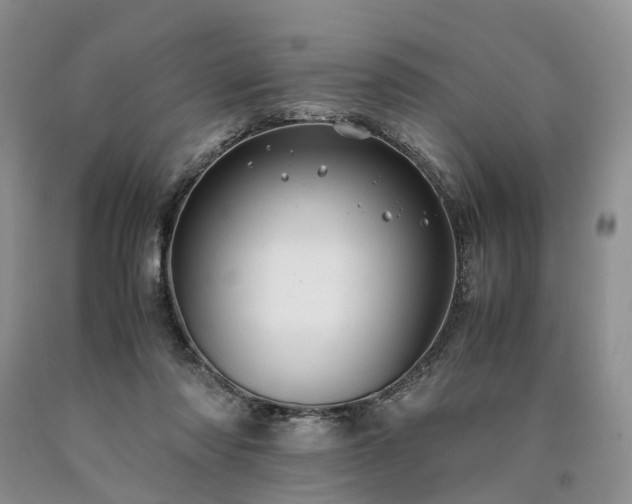X0000090470310200707201400