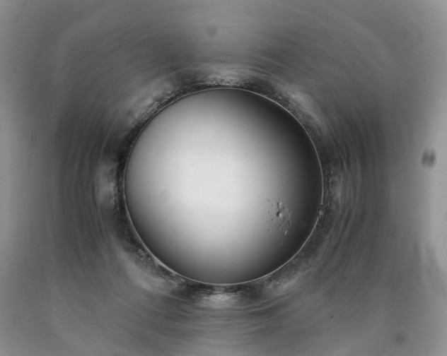 X0000090470312200707201400