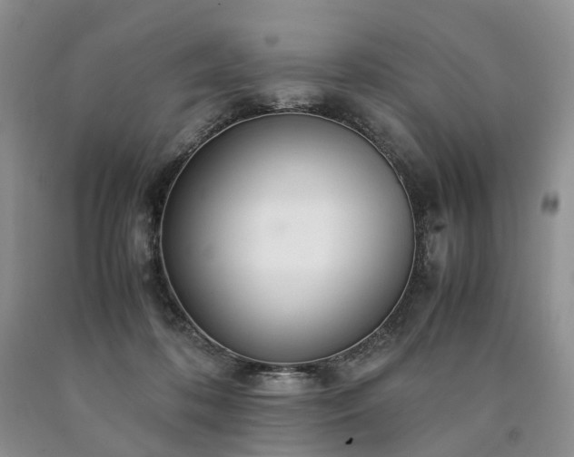 X0000090470316200707201400