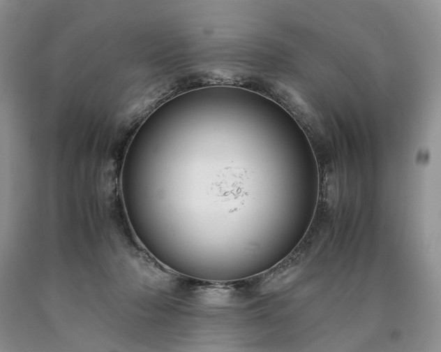 X0000090470318200707201400