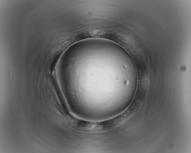 X0000090470319200707201400