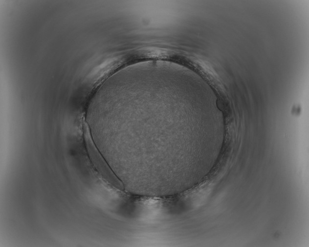 X0000090470325200707201400