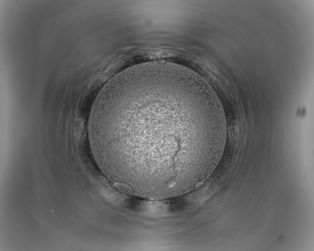 X0000090470327200707201400