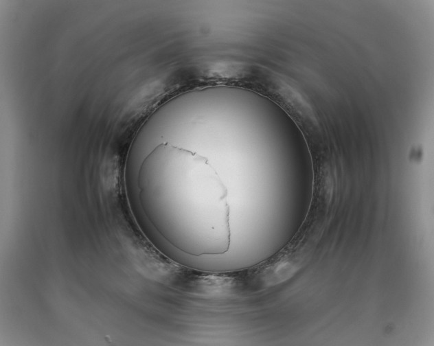 X0000090470328200707201400