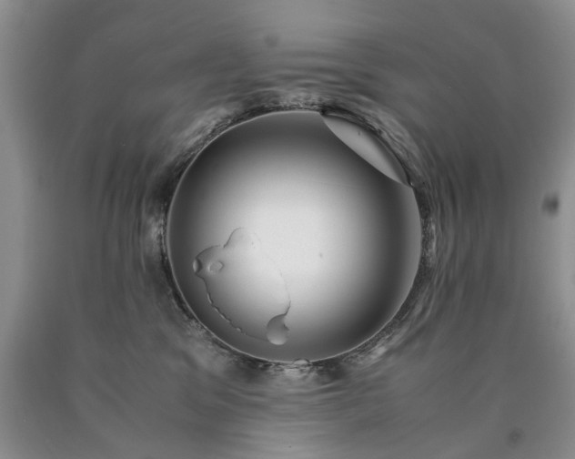 X0000090470329200707201400