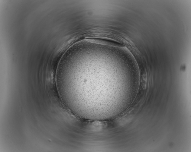 X0000090470330200707201400