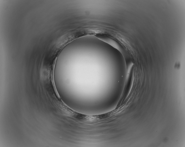 X0000090470333200707201400