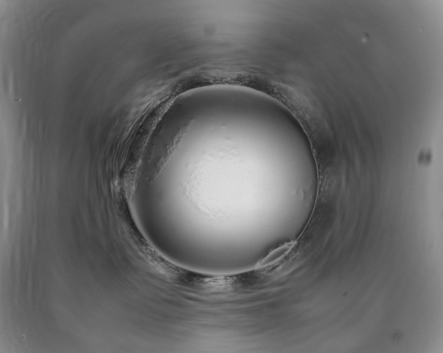 X0000090470335200707201400