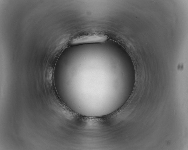 X0000090470336200707201400