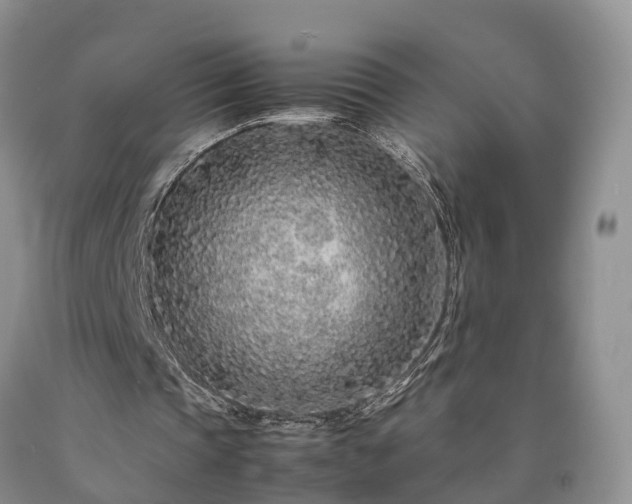X0000090470337200707201359
