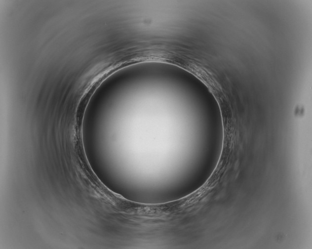 X0000090470338200707201359