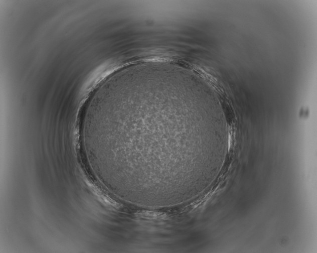 X0000090470339200707201359