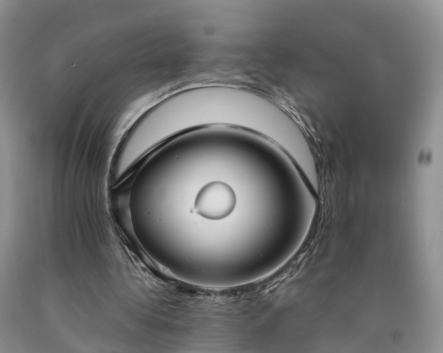 X0000090470340200707201359