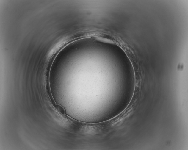 X0000090470341200707201359