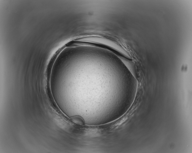 X0000090470342200707201359