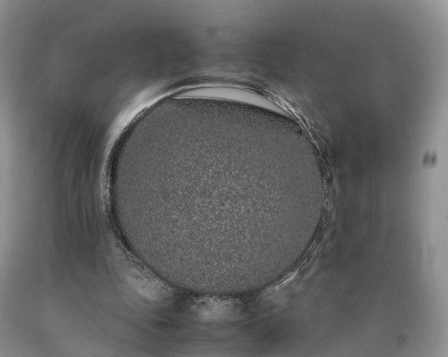 X0000090470343200707201359