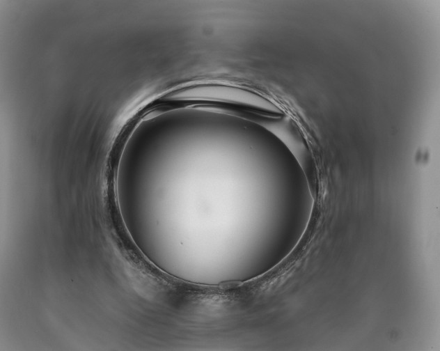 X0000090470344200707201359