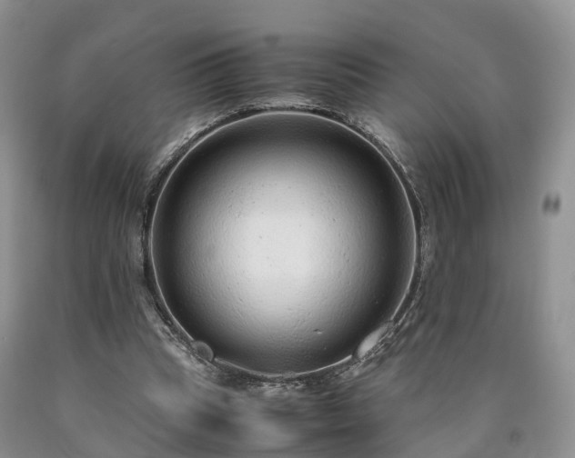 X0000090470345200707201359
