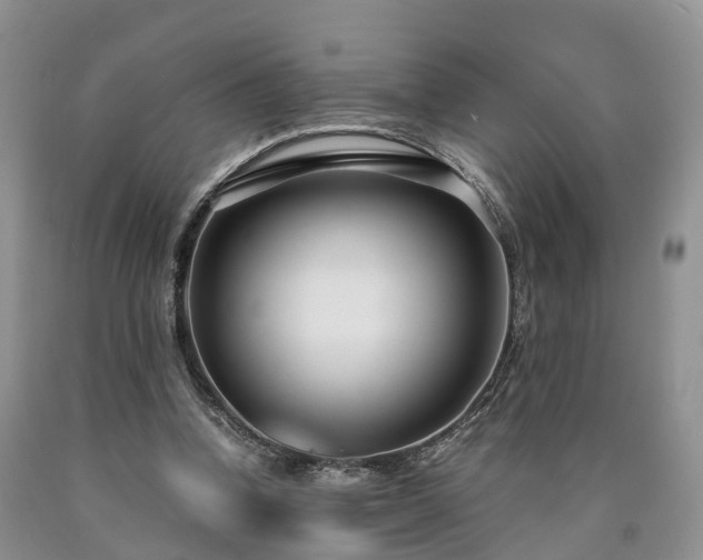 X0000090470346200707201359